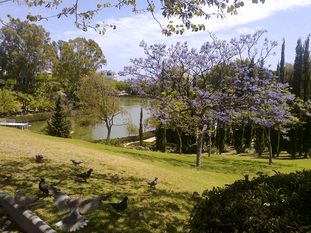 Parque de la Paloma